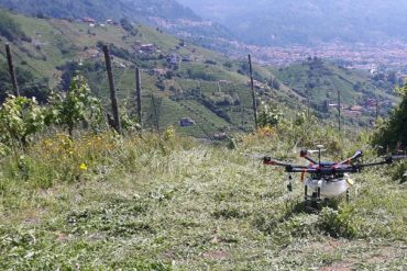 Trattamento con antiparassitari con drone - Riproduzione riservata