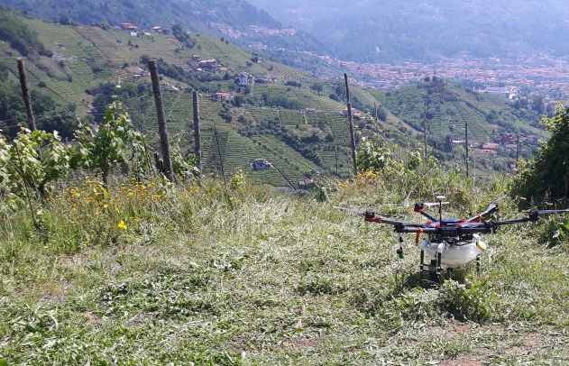 Trattamento con antiparassitari con drone - Riproduzione riservata