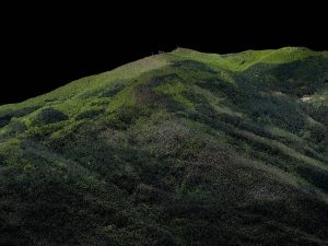 Ricostruzione tridimensionale di una nuvola di punti derivante da una scansione LiDAR (elaborazione Francesca Giannetti) - Riproduzione riservata Università di Firenze