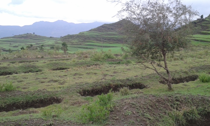 Trincee di infiltrazione per landscape restoration (Regione del Tigrè, Etiopia)