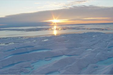 ghiaccio antartico marino