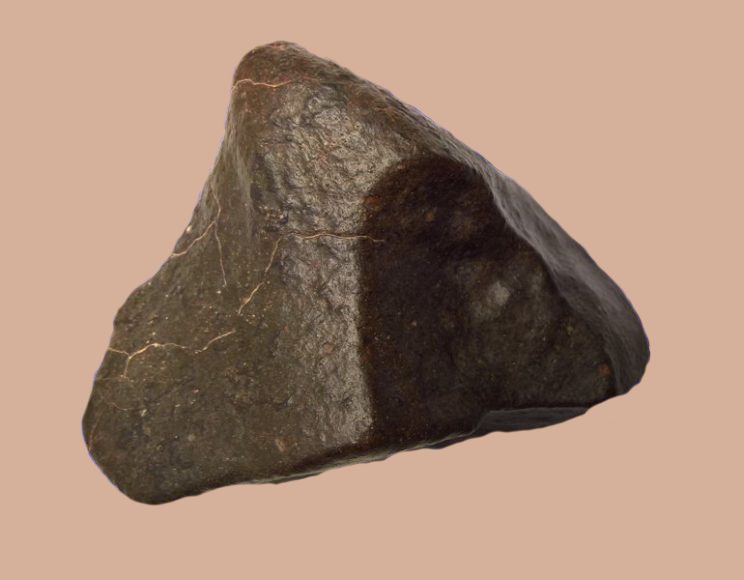 L'esemplare più grande raccolto nella campagna, la meteorite LE26 di 980 grammi
