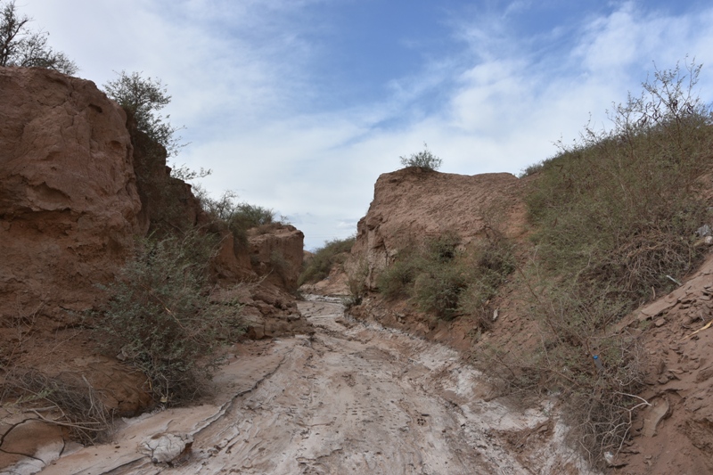 Lo wadi scavato da un corso d'acqua effimero alle porte del villaggio di Shahdad