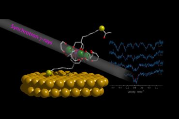 La molecola magnetica Fe4 in contatto con la superficie d'oro nanostrutture