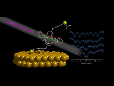 La molecola magnetica Fe4 in contatto con la superficie d'oro nanostrutture