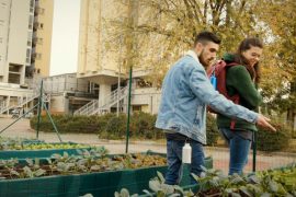 Orto urbano ecosostenibile. Firenze, viale Morgagni campus sostenibili