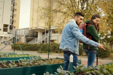 Orto urbano ecosostenibile. Firenze, viale Morgagni campus sostenibili