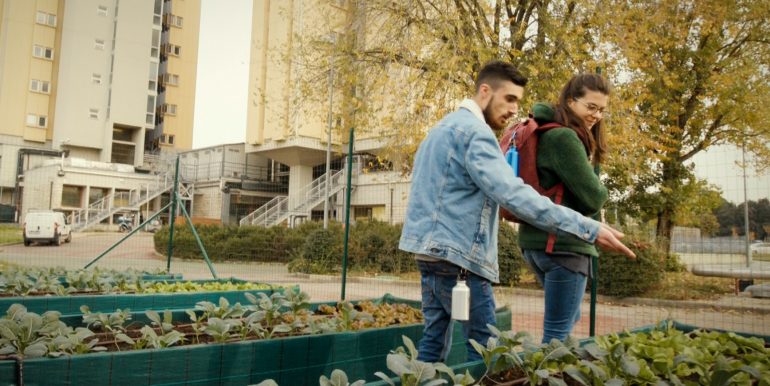 Orto urbano ecosostenibile. Firenze, viale Morgagni campus sostenibili