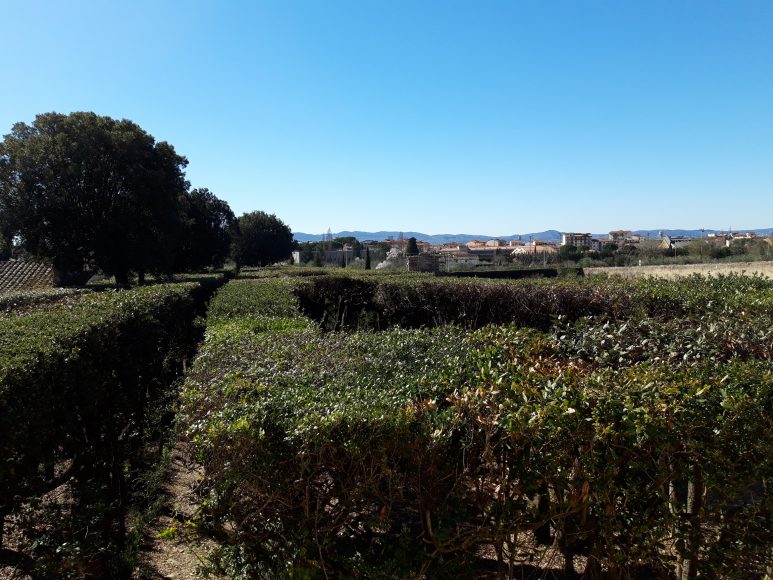 Villa La Quiete, la ragnaia vista dall'alto