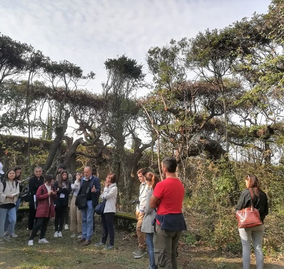 Studenti del Laboratorio di Restauro a Villa La Quiete