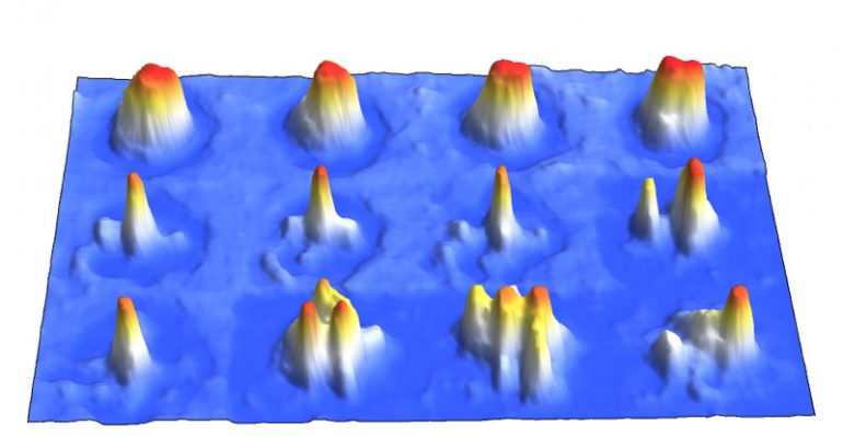 Nell’esperimento, l’evoluzione temporale (da sinistra a destra) della nuova fase con caratteristiche supersolide (riga centrale) appare tra un condensato di Bose-Einstein ordinario (riga in alto) e una già nota fase di gocce quantistiche disordinate (riga in basso). Si nota la formazione di una struttura periodica (qui nello spazio degli impulsi) fra una fase omogenea (la BEC) e una disordinata (le gocce)