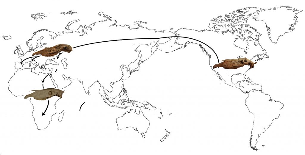  la mappa della diffusione della specie Equus simplicidens (Nord America), Equus stenonis (Europa e Asia) e Equus grevyi (Africa)
