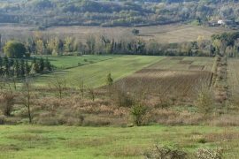 MoLTE_esperimento di agricoltura biologica a Montepaldi