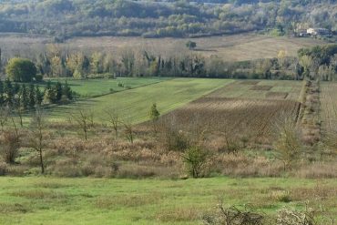 MoLTE_esperimento di agricoltura biologica a Montepaldi