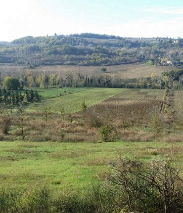 MoLTE_esperimento di agricoltura biologica a Montepaldi