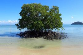 Orpheus Island - Australia