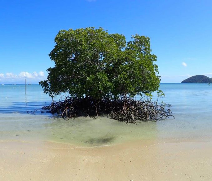 Orpheus Island - Australia