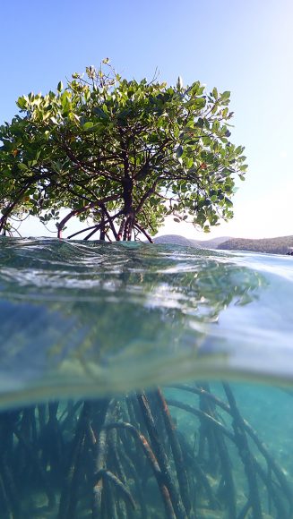 Orpheus Island - Australia