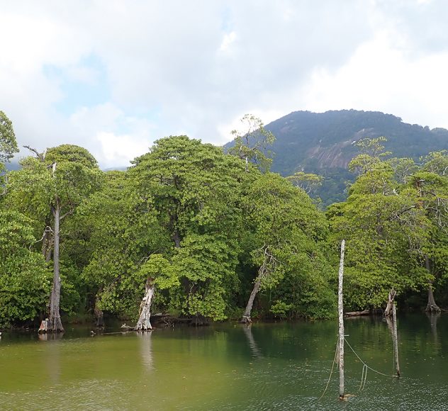 Pulau Tioman - Malaysia