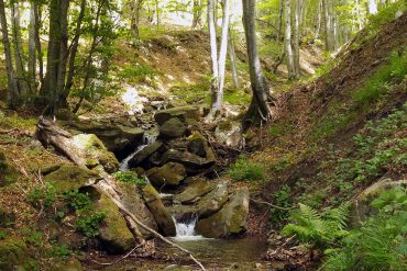 ruscello acqua idrogeno traccianti