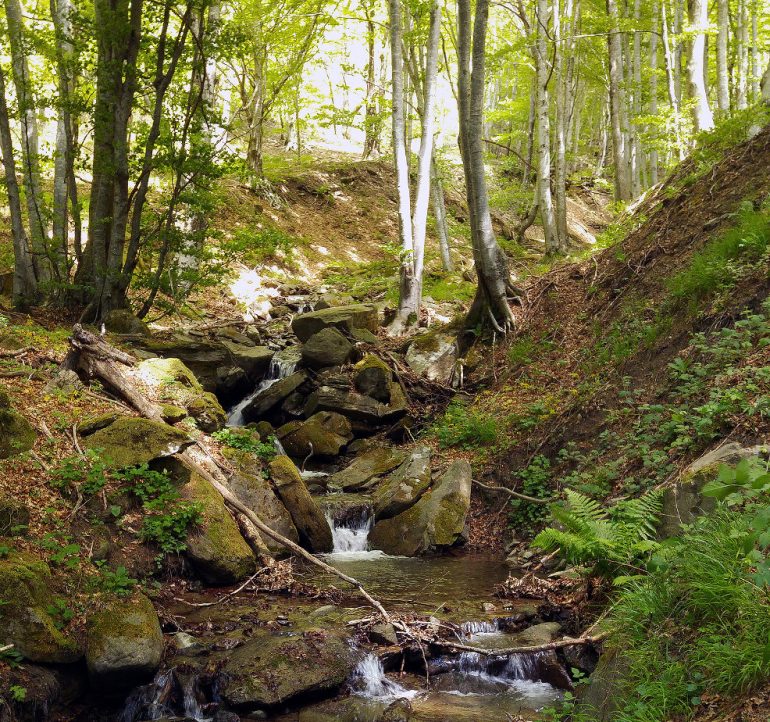 ruscello acqua idrogeno traccianti