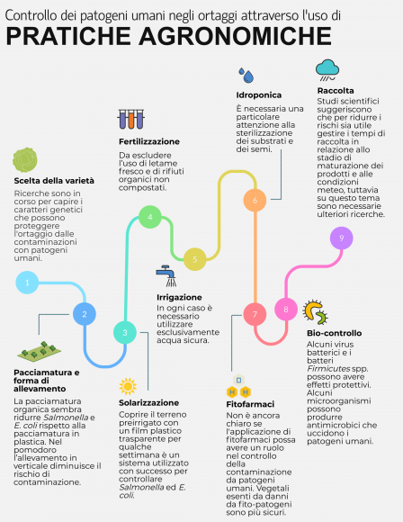 orti salmonella_definitivo