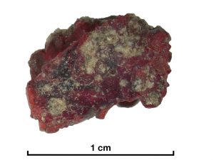 Trinitite, materiale di studio, minerale