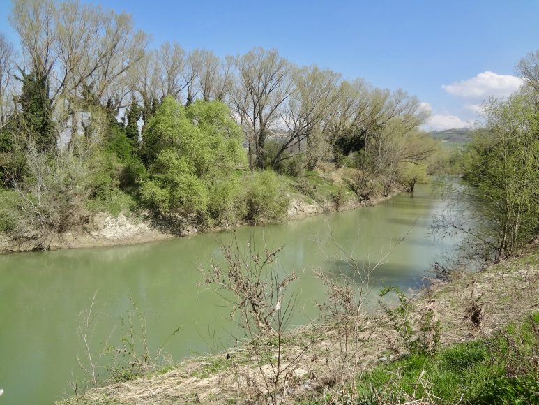 Il tratto del Tevere presso Piedicolle