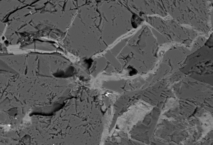 L’immagine ottenuta al microscopio elettronico a scansione: l’elgoresyite è contenuta nelle vene più chiare che tagliano la meteorite