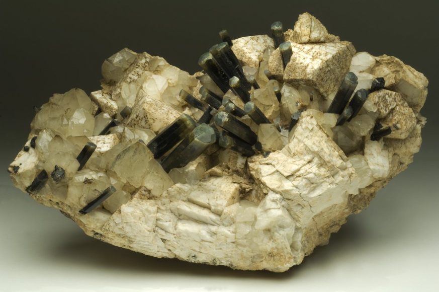 50 cristalli di tormalina su matrice, uno dei più importanti campioni in dote alla collezione elbana del Museo di Mineralogia e Litologia del Sistema Museale di Ateneo (Grotta d’Oggi, collezione Roster)