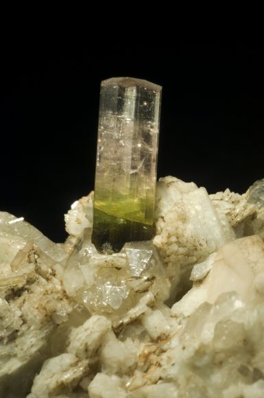 Dettaglio di un cristallo di tormalina policroma appartenente ad un campione della collezione Roster (Grotta d’Oggi)