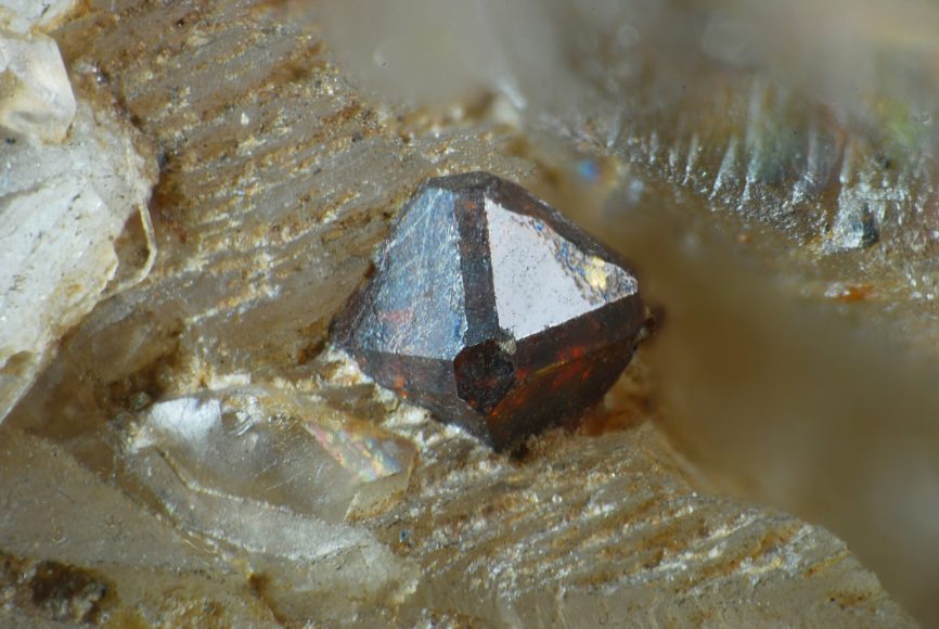 Dettaglio di un cristallo di microlite su matrice granitica (Sant’Ilario - collezione Roster)