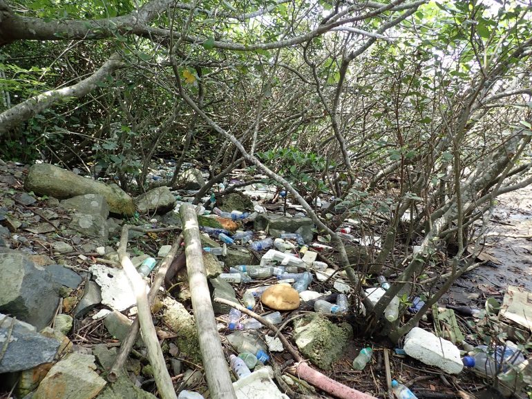 Inquinamento da plastica sulle coste di Hong Kong