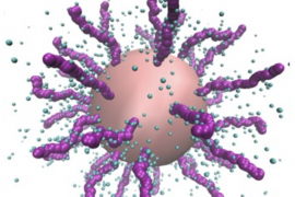 Simulazione di una particella di polistirene (sfera rosa) ricoperta da catene di DNA (catene viola). Le sfere azzurre rappresentano gli ioni che circondano la particella.