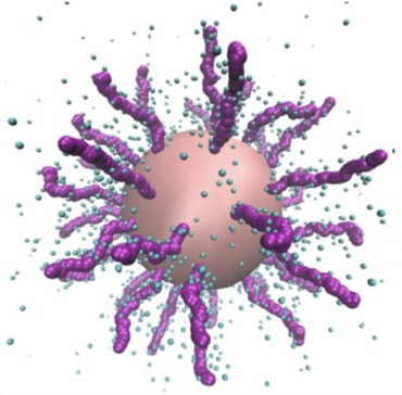 Simulazione di una particella di polistirene (sfera rosa) ricoperta da catene di DNA (catene viola). Le sfere azzurre rappresentano gli ioni che circondano la particella.