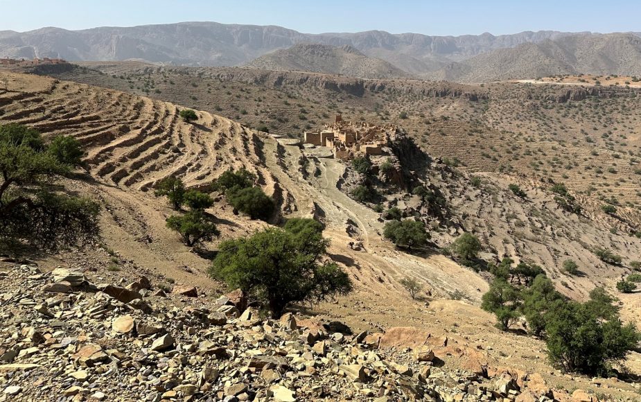 La foresta di argan di Ait Souab-Ait Mansour