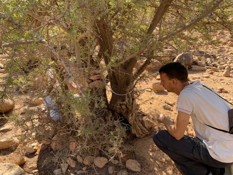 Misurazione di argan in Marocco (foto @Antonio Santoro)