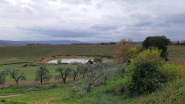 Invaso collinare presso la Tenuta il Poggione