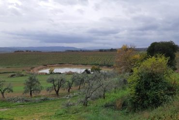 Invaso collinare presso la Tenuta il Poggione