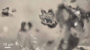 microfotografia del diamante studiato, con in evidenza le inclusioni intrappolate al suo interno