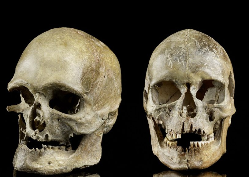La più antica testimonianza di migrazione durante un riscaldamento climatico: crani maschile e femminile sepolti nella Germania occidentale (Oberkassel) circa 14.000 anni fa.  (Foto Jürgen Vogel, LVR - LandesMuseum Bonn)