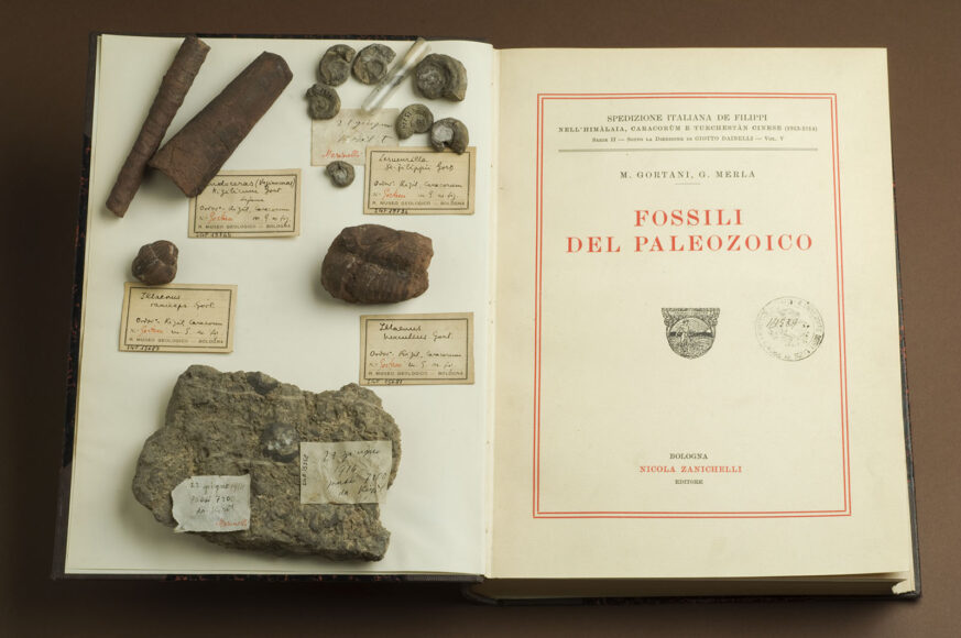 Reperti riportati dalla Spedizione De Filippi (1913-1914) - Museo di Geologia e Paleontologia