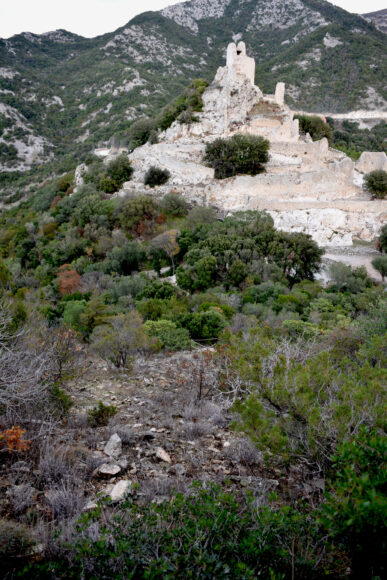 Il Monte Calvi, l'habitat dell'Etruscotrica folcoi, e la Rocca di San Silvestro -