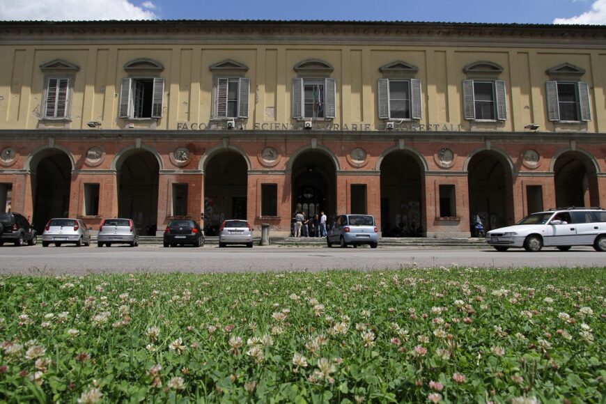 UNIVERSITA' STUDENTI SCIENZE DELLA FORMAZIONE