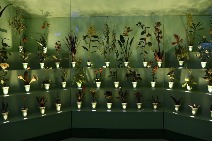 Il "giardino in cera", la sala dedicata alle cere botaniche