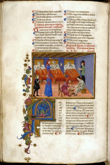 Avicenna, Canon medicinae, Biblioteca Medicea Laurenziana, Gaddi 24 (sec. XV)