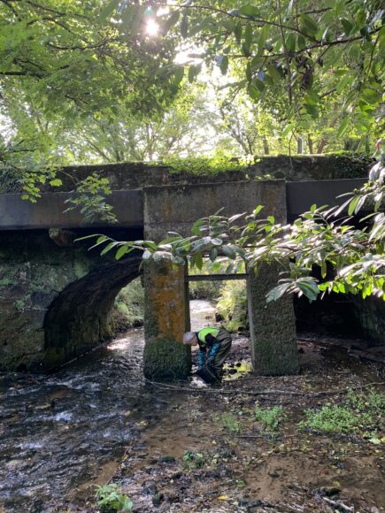 La raccolta dei sedimenti nel letto di un fiume