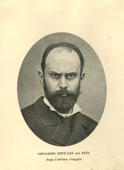 Odoardo Beccari