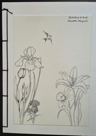 Sketchbook Morganti (2)