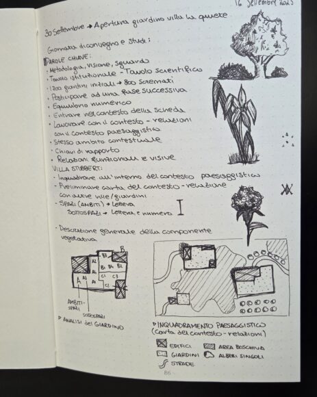 Sketchbook Morganti (4)